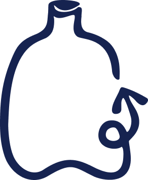 A revised, more refined sketch of the Topanga logo, tracing a milk-jug silhouette with an updated looping tail