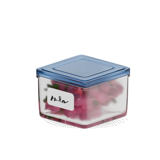 Custom animated icon for a Carryover observation: a labeled container of food, with a sparkle payoff animation